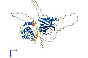 DCP2 Protein (AA 1-422) (His tag)