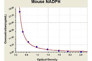 NADPH ELISA Kit