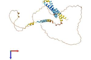 NDFIP2 Protein (AA 1-336) (His tag)