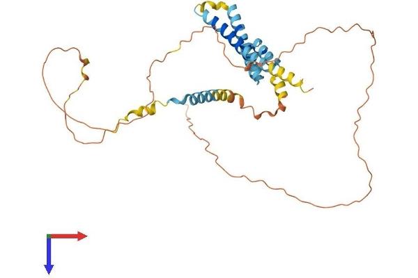 NDFIP2 Protein (AA 1-336) (His tag)