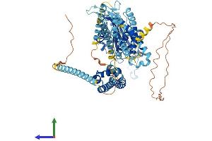 AlphaFold protein structure predicition of Mouse Recombinant Pkd2l1 Protein, UniprotID A2A259 (PKD2L1 Protein (AA 1-760) (His tag))