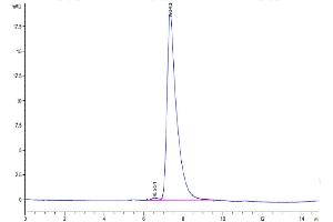 Size-exclusion chromatography-High Pressure Liquid Chromatography (SEC-HPLC) image for Tumor Necrosis Factor Receptor Superfamily, Member 19 (TNFRSF19) (AA 30-170) protein (Fc Tag) (ABIN7275768)