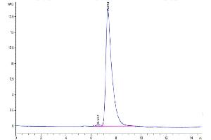 The purity of Mouse TNFRSF19 is greater than 95 % as determined by SEC-HPLC. (TNFRSF19 Protein (AA 30-170) (Fc Tag))