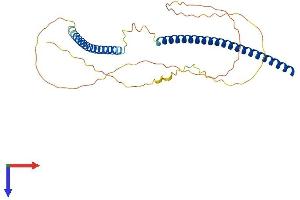 KNSTRN Protein (AA 1-312) (His tag)