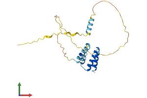 AlphaFold protein structure predicition of Human Recombinant CT45A8 Protein, UniprotID P0DMV1 (CT45A8 (AA 1-189) protein (His tag))