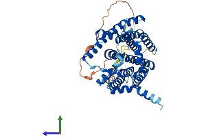 Protein Structure (PS) image for Sphingosine-1-Phosphate Phosphatase 1 (SGPP1) (AA 1-430) protein (His tag) (ABIN7561539)