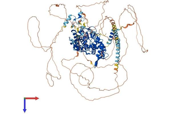 RC3H1 Protein (AA 1-1130) (His tag)