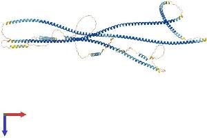 Golgin A2 (GOLGA2) (AA 1-1002) protein (His tag)