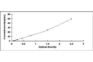 Typical standard curve (Fibronectin ELISA Kit)