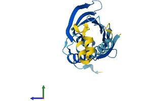 Protein Structure (PS) image for PRELI Domain Containing 2 (PRELID2) (AA 1-189) protein (His tag) (ABIN7550987)