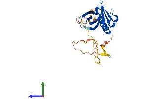 Protein Structure (PS) image for Pleckstrin Homology Domain Containing, Family B (Evectins) Member 2 (PLEKHB2) (AA 1-221) protein (His tag) (ABIN7561822)