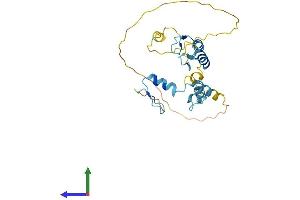 Protein Structure (PS) image for JAZF Zinc Finger 1 (JAZF1) (AA 1-243) protein (His tag) (ABIN7548671)
