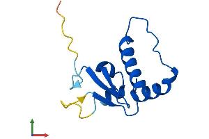 Protein Structure (PS) image for Transcription Elongation Factor B (SIII), Polypeptide 1 (15kDa, Elongin C) (TCEB1) (AA 1-112) protein (His tag) (ABIN7547420)