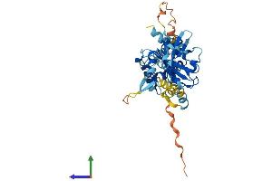Protein Structure (PS) image for F-Box Protein 4 (FBXO4) (AA 1-385) protein (His tag) (ABIN7559340)