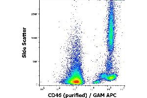 Flow cytometry surface staining pattern of human peripheral blood cells stained using anti-human CD46 (MEM-258) purified antibody (concentration in sample 0,5 μg/mL) GAM APC.