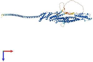 EXOC7 Protein (AA 1-735) (His tag)