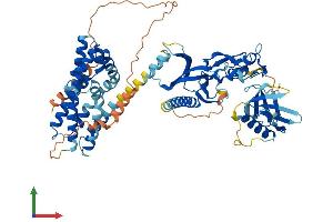 Protein Structure (PS) image for FYVE, RhoGEF and PH Domain Containing 2 (FGD2) (AA 1-655) protein (His tag) (ABIN7547701)