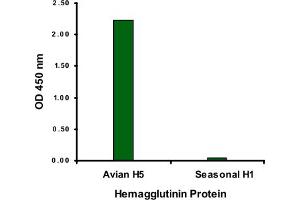 ELISA analysis of Avian Influenza Hemagglutinin 2 protein with 1 ug/mL Avian Influenza Hemagglutinin 2 polyclonal antibody .