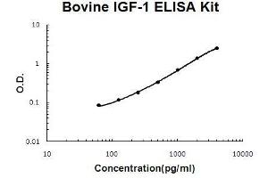Bovine IGF-1 PicoKine ELISA Kit standard curve