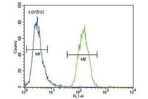 Flow Cytometry (FACS) image for anti-Xanthine Dehydrogenase (XDH) antibody (ABIN3004109) (XDH Antikörper)
