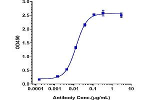 Immobilized human CD116 His at 2 μg/mL can bind Anti-CSF2Ra / GM-CSFRa / CD116 Reference Antibody (mavrilimumab), EC50=0.