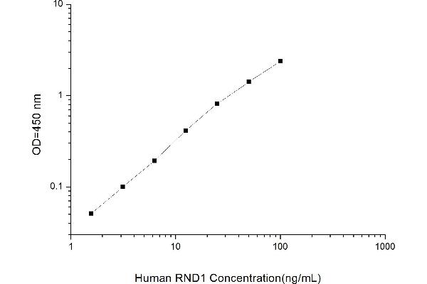 RND1 ELISA Kit