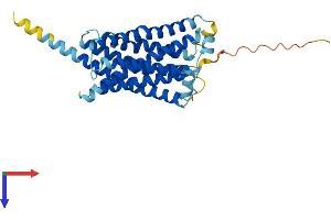 MRGPRD Protein (AA 1-321) (His tag)