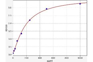 Chemokine (C-C Motif) Ligand 7 (CCL7) ELISA Kit