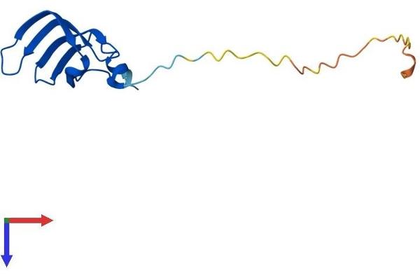 SNRPD1 Protein (AA 1-119) (His tag)