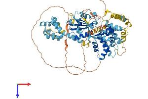NLRP10 Protein (AA 1-673) (His tag)