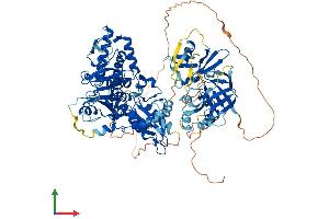 Protein Structure (PS) image for Molybdenum Cofactor Sulfurase (MOCOS) (AA 1-888) protein (His tag) (ABIN7554608)