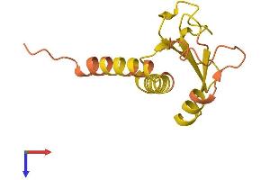 AlphaFold protein structure predicition of Human Recombinant LINC01553 Protein, UniprotID A4QN01