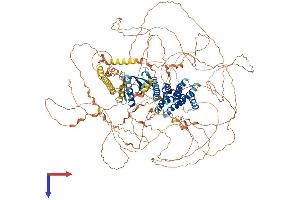 PLEKHG2 Protein (AA 1-1386) (His tag)