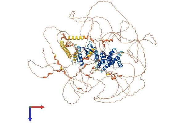 PLEKHG2 Protein (AA 1-1386) (His tag)
