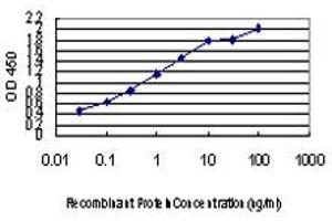 ELISA image for anti-Lethal Giant Larvae Homolog 2 (LLGL2) (AA 101-200) antibody (ABIN466051) (LLGL2 Antikörper  (AA 101-200))