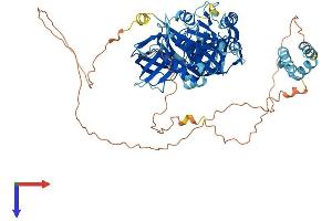 HBS1L Protein (AA 1-682) (His tag)