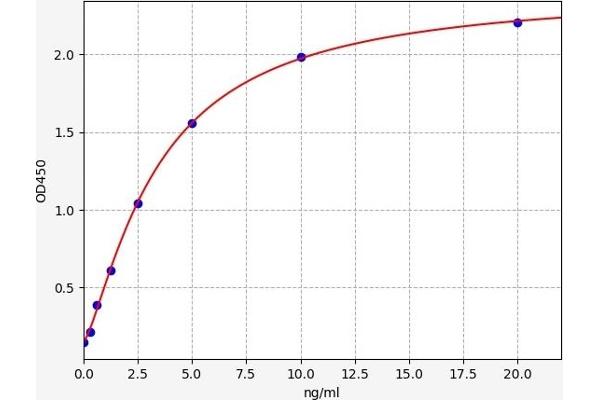 Progesterone Receptor ELISA Kit