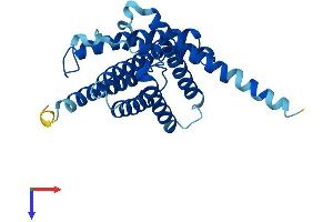 AlphaFold protein structure predicition of Mouse Recombinant Aqp11 Protein, UniprotID Q8BHH1 (AQP11 Protein (AA 1-271) (His tag))