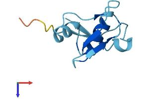 MEIG1 Protein (AA 1-88) (His tag)