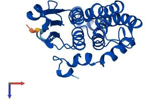 GSTZ1 Protein (AA 1-216) (His tag)