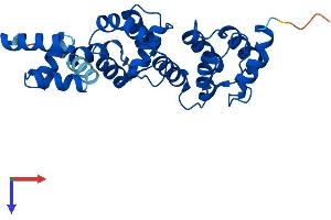 DCUN1D2 Protein (AA 1-259) (His tag)