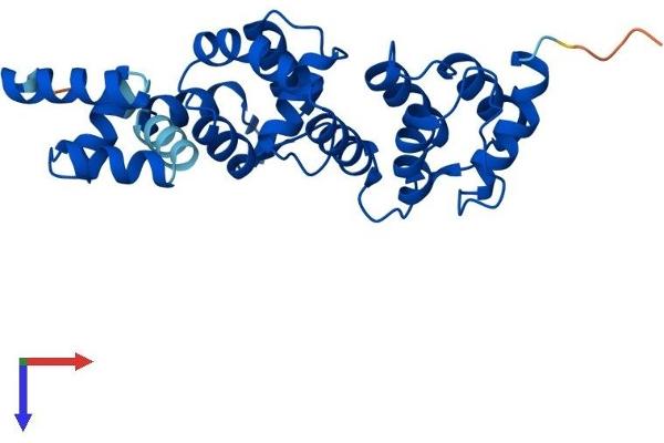 DCUN1D2 Protein (AA 1-259) (His tag)