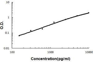 Sandwich ELISA - Recombinant human Beta 2 Microglobulin/B2M protein standard curve. (beta-2 Microglobulin Antikörper  (AA 22-119))