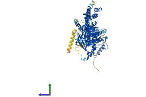 Protein Structure (PS) image for Adrenergic, Beta, Receptor Kinase 1 (ADRBK1) (AA 1-689) protein (His tag) (ABIN7560410)