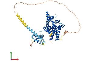 Protein Structure (PS) image for RAR-Related Orphan Receptor B (RORB) (AA 1-470) protein (His tag) (ABIN7564690)