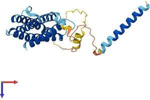 Protein Structure (PS) image for Regulator of G Protein Signaling 9 Binding Protein (RGS9BP) (AA 1-237) protein (His tag) (ABIN7556967)