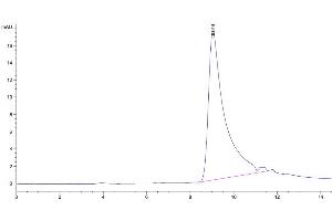 Size-exclusion chromatography-High Pressure Liquid Chromatography (SEC-HPLC) image for Interleukin 5 (IL5) (AA 21-133) protein (His-Avi Tag) (ABIN7274959)