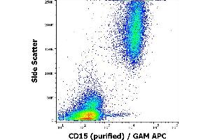 Flow cytometry surface staining pattern of human peripheral blood stained using anti-human CD15 (MEM-158) purified antibody (concentration in sample 0,3 μg/mL) GAM APC. (CD15 Antikörper)
