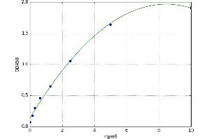 Sclerostin Domain Containing 1 (SOSTDC1) ELISA Kit