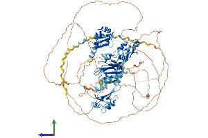 AlphaFold protein structure predicition of Human Recombinant RBM12 Protein, UniprotID Q9NTZ6